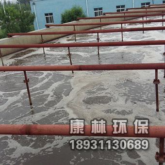 可提升管式曝气器